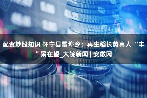 配资炒股知识 怀宁县雷埠乡：再生稻长势喜人 “丰”景在望_大皖新闻 | 安徽网